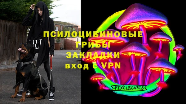 гашик Переславль-Залесский
