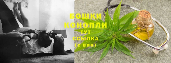 гашик Переславль-Залесский